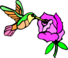 Hummingbird With Flower Clip Art